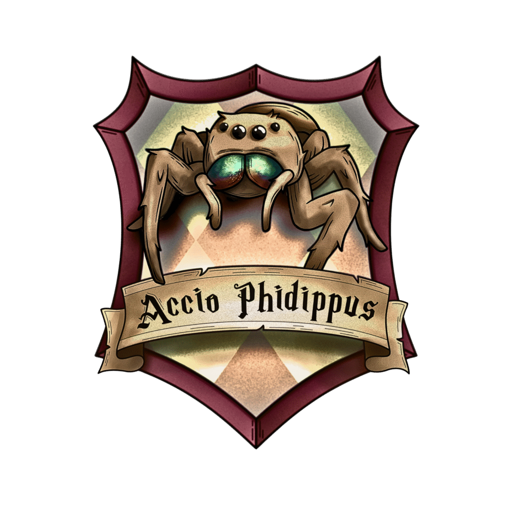 logo Accio Phidippus