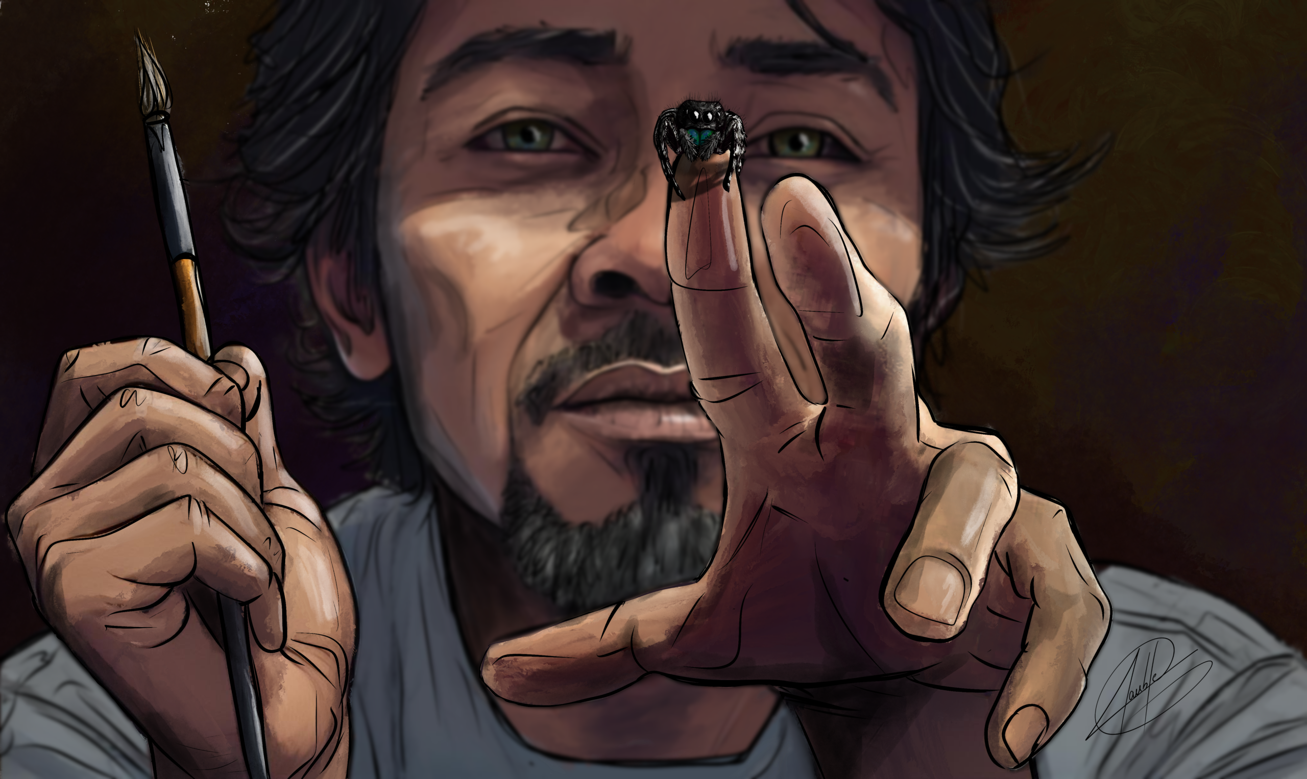 Manipulation des Phidippus