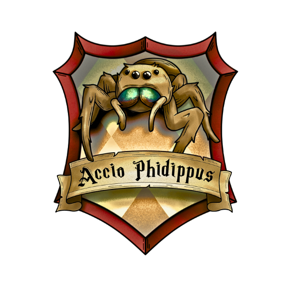 Accio Phidippus