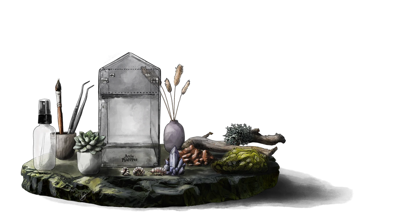 Illustration d'un terrarium et du matériel préparé avant une adoption.